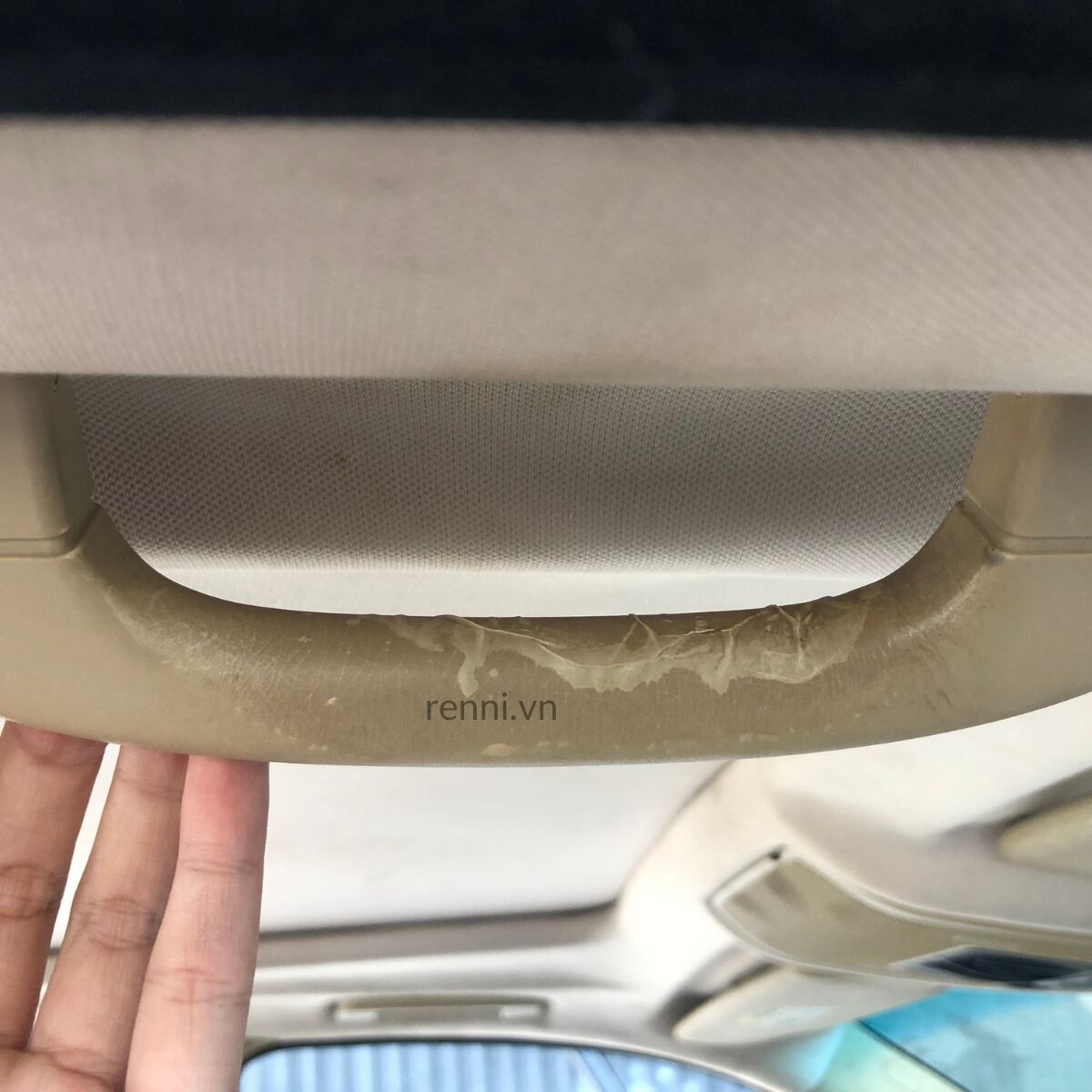 Tay nắm trần — RENNI