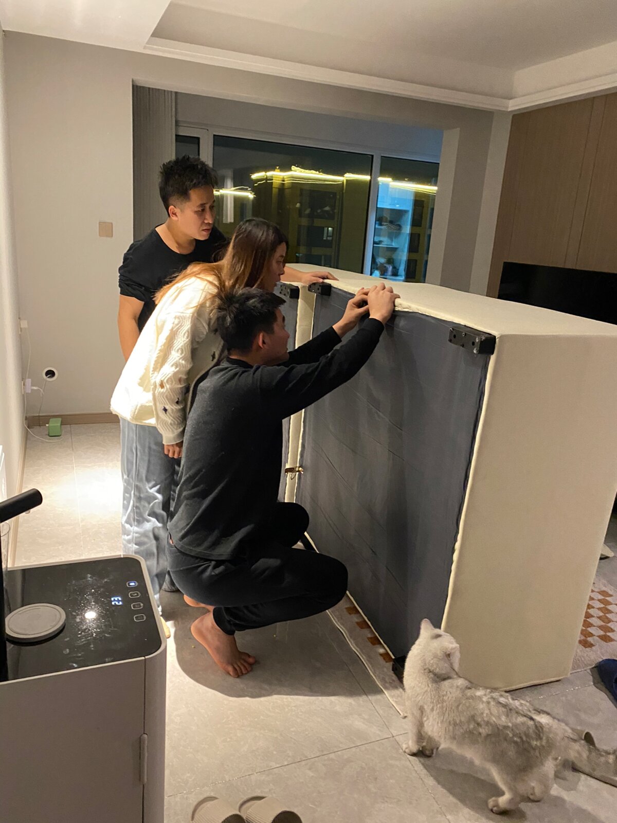 Phục hồi sofa da